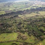 Veduta aerea della Necropoli della Banditaccia con tumuli di terra ospitanti tombe familiari etrusche.